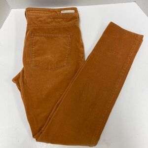 Pilcro and the Letterpress Serif Women’s Corduroy Skinny Fit Pants-Burnt Orange